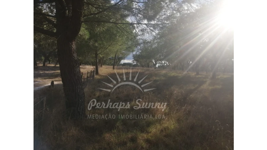 Terreno Misto para Venda em Grândola e Santa Margarida da Serra Foto 8