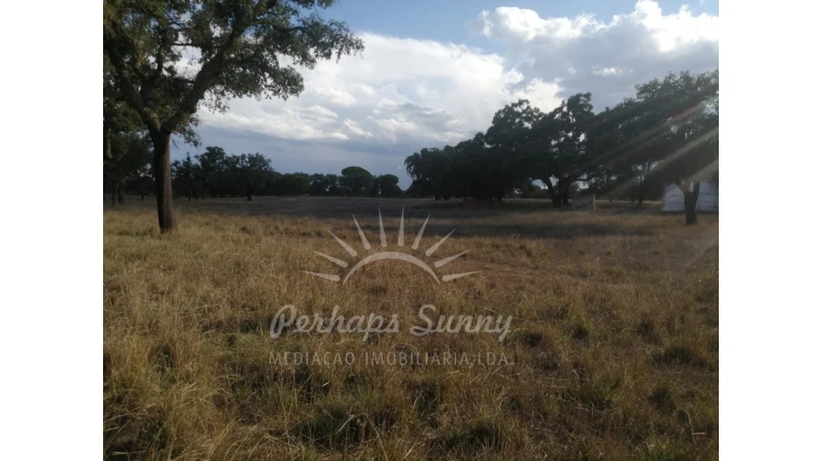 Terreno Misto para Venda em Grândola e Santa Margarida da Serra Foto 9