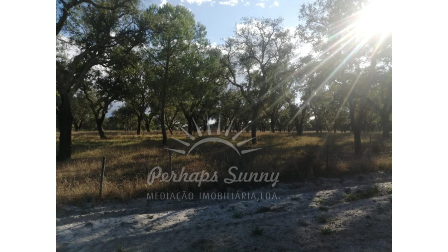Terreno Misto para Venda em Grândola e Santa Margarida da Serra Foto 10