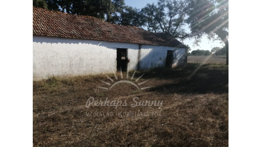 Terreno Misto para Venda em Grândola e Santa Margarida da Serra Foto 4