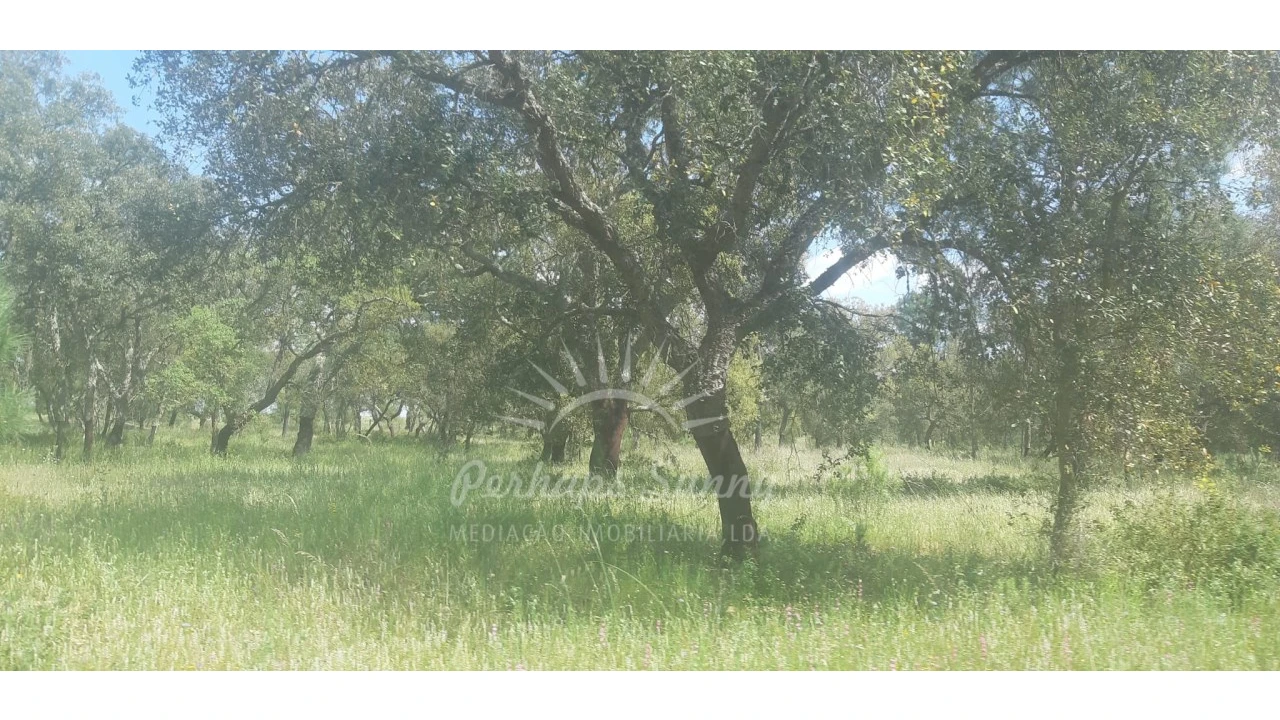 Terreno para Venda em Santa Maria do Castelo e Santiago e Santa Susana Foto 1