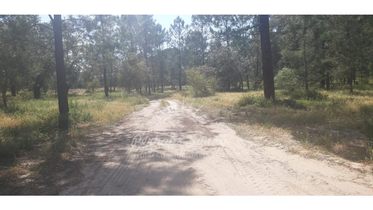 Terreno para Venda em Santa Maria do Castelo e Santiago e Santa Susana Foto 2
