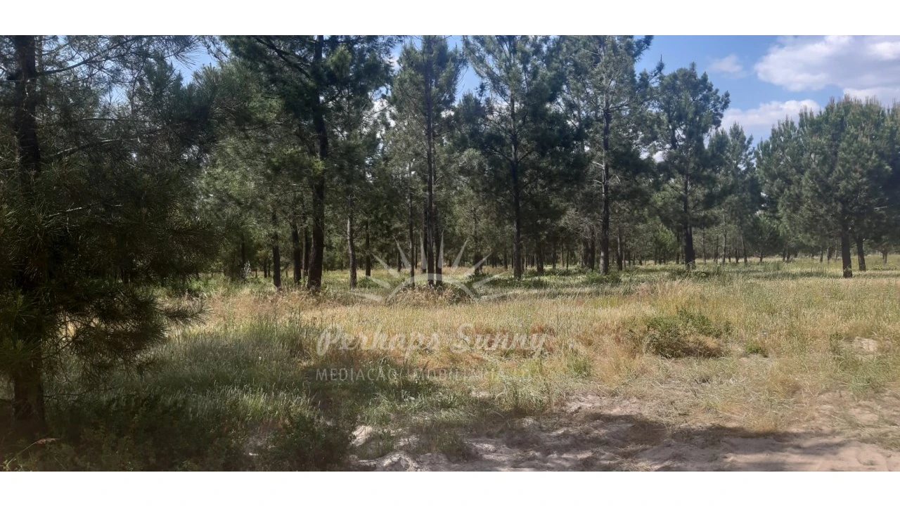 Terreno para Venda em Santa Maria do Castelo e Santiago e Santa Susana Foto 3