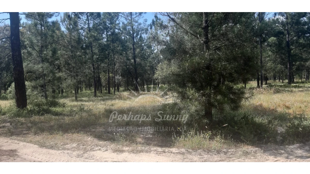 Terreno para Venda em Santa Maria do Castelo e Santiago e Santa Susana Foto 4