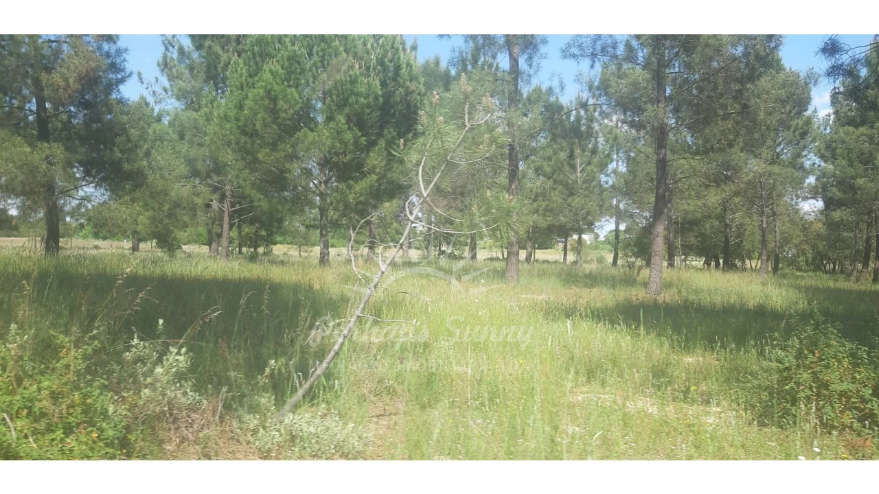 Terreno para Venda em Santa Maria do Castelo e Santiago e Santa Susana Foto 11