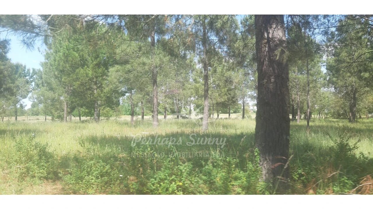Terreno para Venda em Santa Maria do Castelo e Santiago e Santa Susana Foto 12