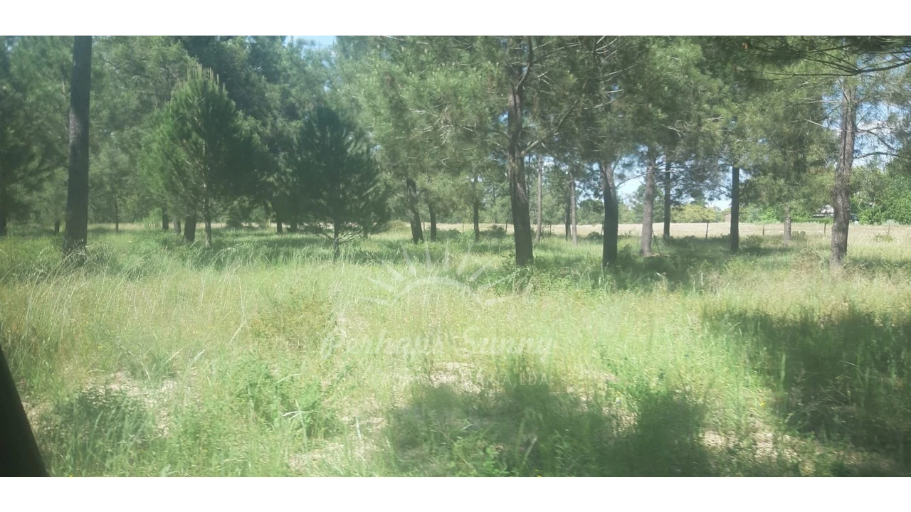 Terreno para Venda em Santa Maria do Castelo e Santiago e Santa Susana Foto 13