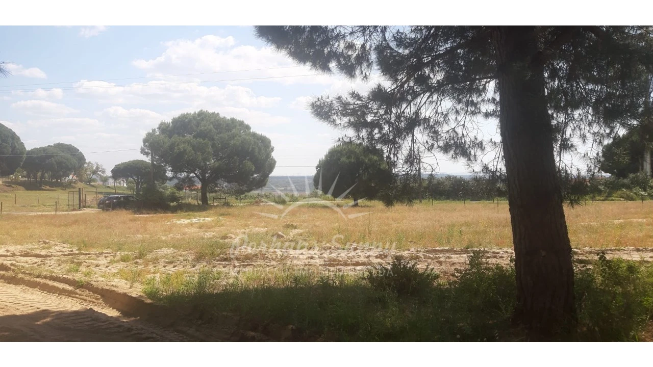 Terreno para Venda em Santa Maria do Castelo e Santiago e Santa Susana Foto 14