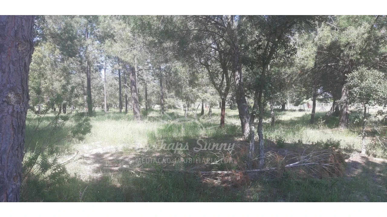 Terreno para Venda em Santa Maria do Castelo e Santiago e Santa Susana Foto 15