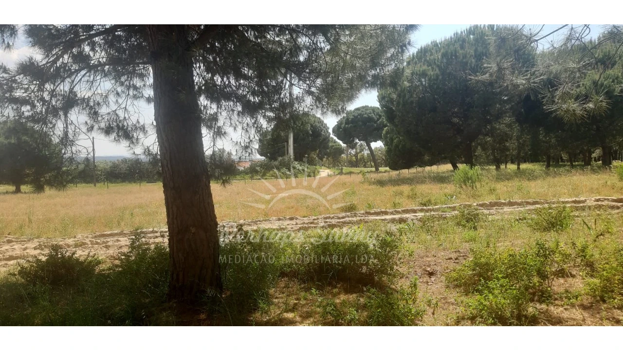 Terreno para Venda em Santa Maria do Castelo e Santiago e Santa Susana Foto 16