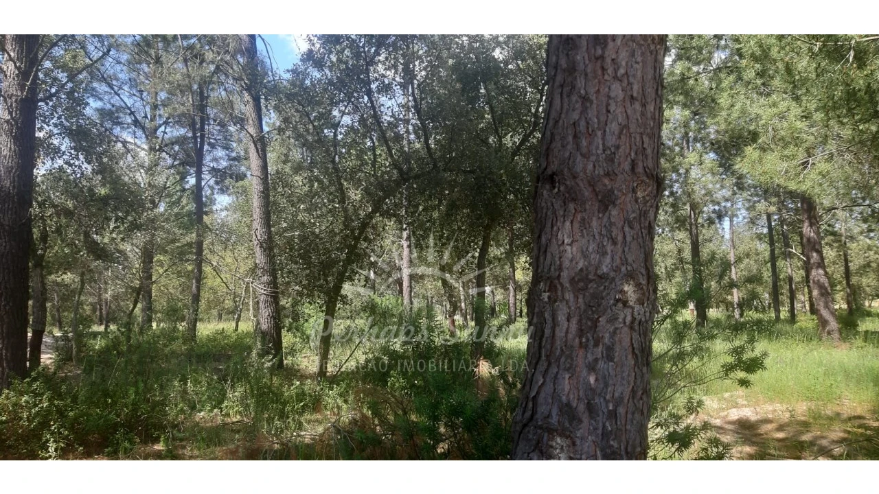Terreno para Venda em Santa Maria do Castelo e Santiago e Santa Susana Foto 17