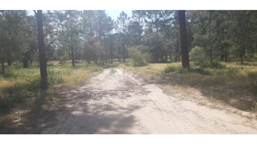 Terreno para Venda em Santa Maria do Castelo e Santiago e Santa Susana Foto 2