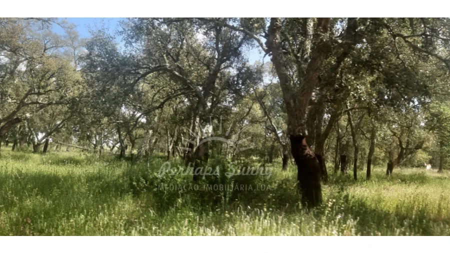 Terreno para Venda em Santa Maria do Castelo e Santiago e Santa Susana Foto 5