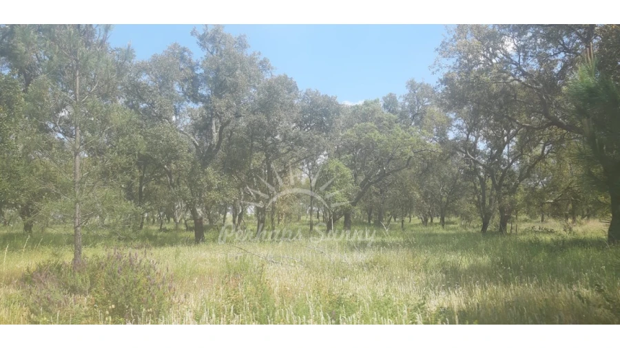 Terreno para Venda em Santa Maria do Castelo e Santiago e Santa Susana Foto 6