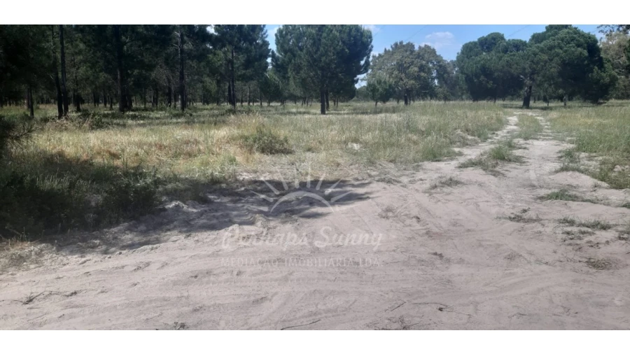 Terreno para Venda em Santa Maria do Castelo e Santiago e Santa Susana Foto 7