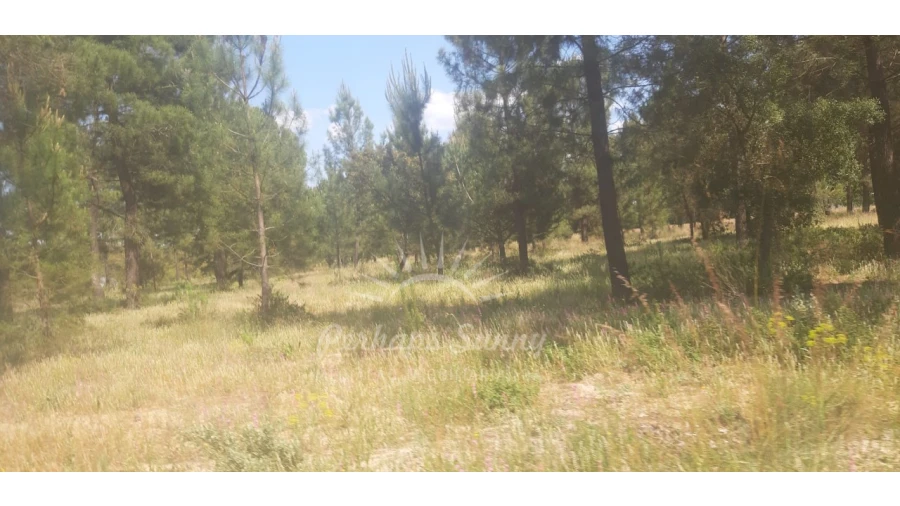 Terreno para Venda em Santa Maria do Castelo e Santiago e Santa Susana Foto 8