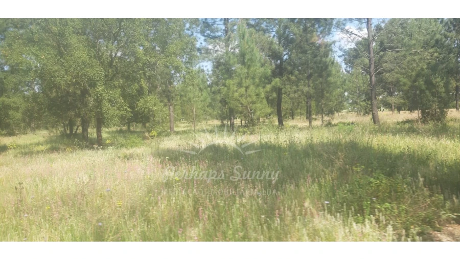 Terreno para Venda em Santa Maria do Castelo e Santiago e Santa Susana Foto 9