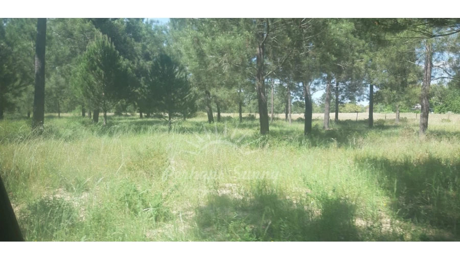 Terreno para Venda em Santa Maria do Castelo e Santiago e Santa Susana Foto 13