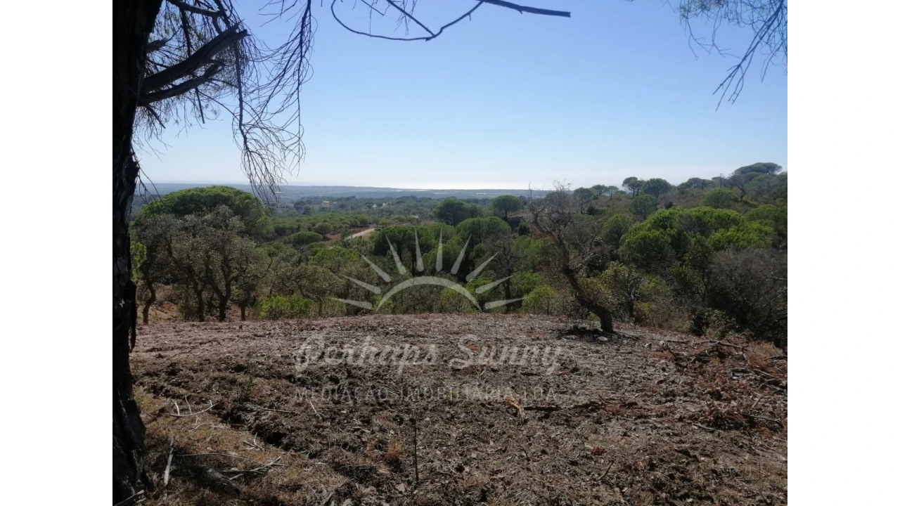 Terreno Agricola ou Rústico para Venda em Melides Foto 2