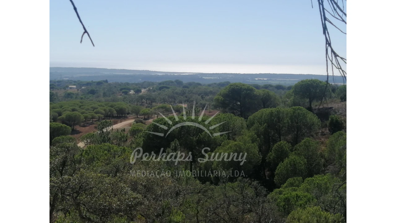 Terreno Agricola ou Rústico para Venda em Melides Foto 1