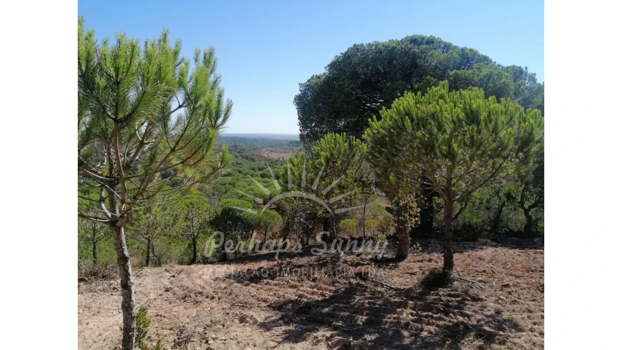 Terreno Agricola ou Rústico para Venda em Melides Foto 11