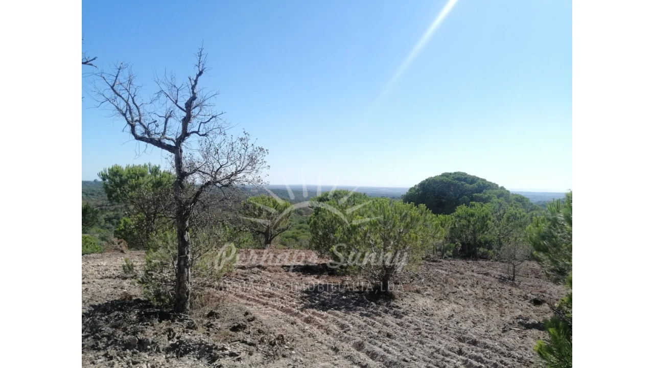 Terreno Agricola ou Rústico para Venda em Melides Foto 8