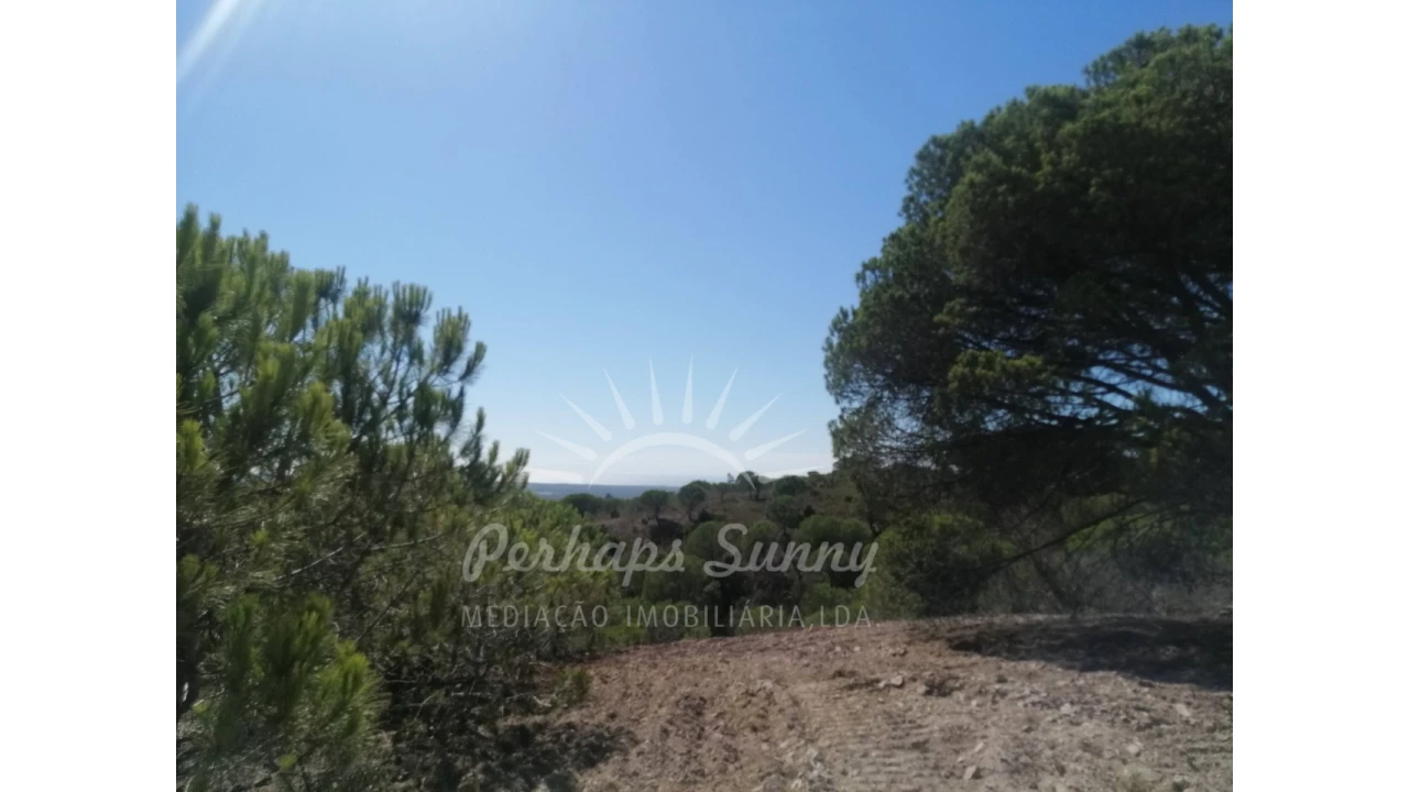 Terreno Agricola ou Rústico para Venda em Melides Foto 14