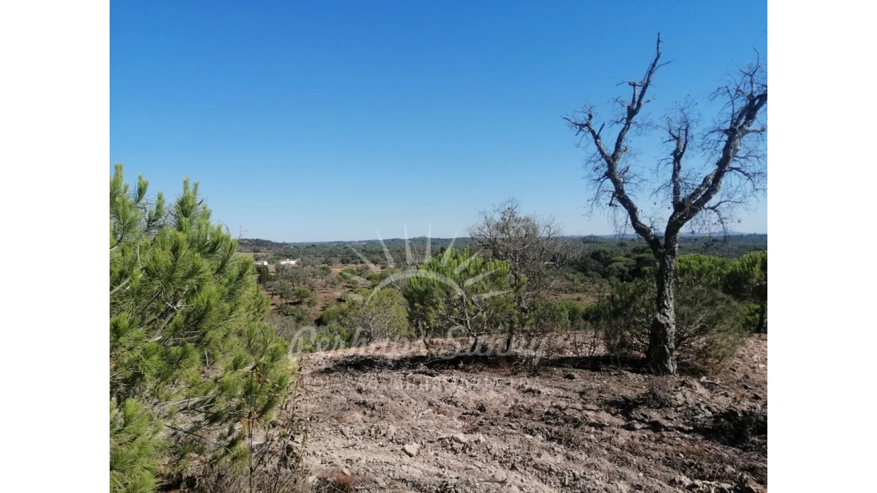 Terreno Agricola ou Rústico para Venda em Melides Foto 15