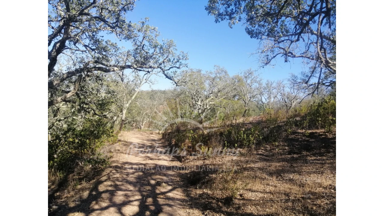 Terreno Agricola ou Rústico para Venda em Melides Foto 16