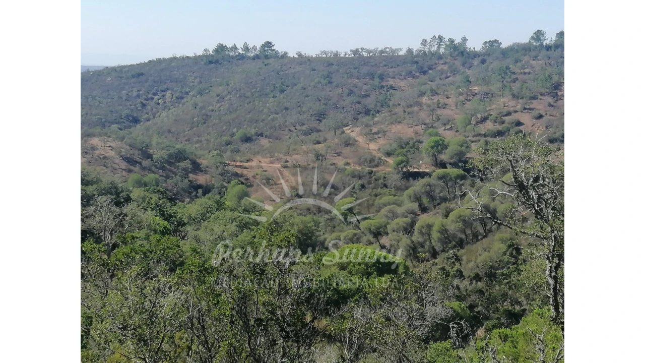 Terreno Agricola ou Rústico para Venda em Melides Foto 10