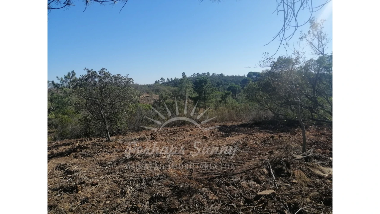 Terreno Agricola ou Rústico para Venda em Melides Foto 18