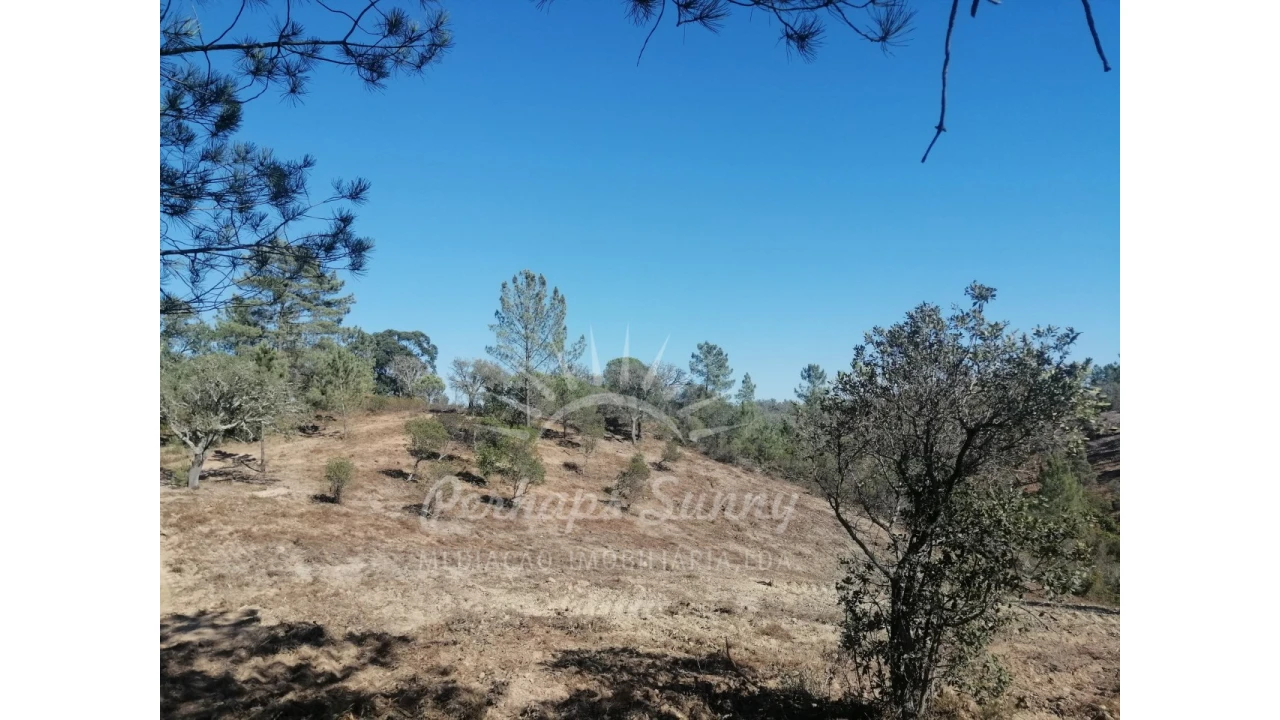Terreno Agricola ou Rústico para Venda em Melides Foto 20
