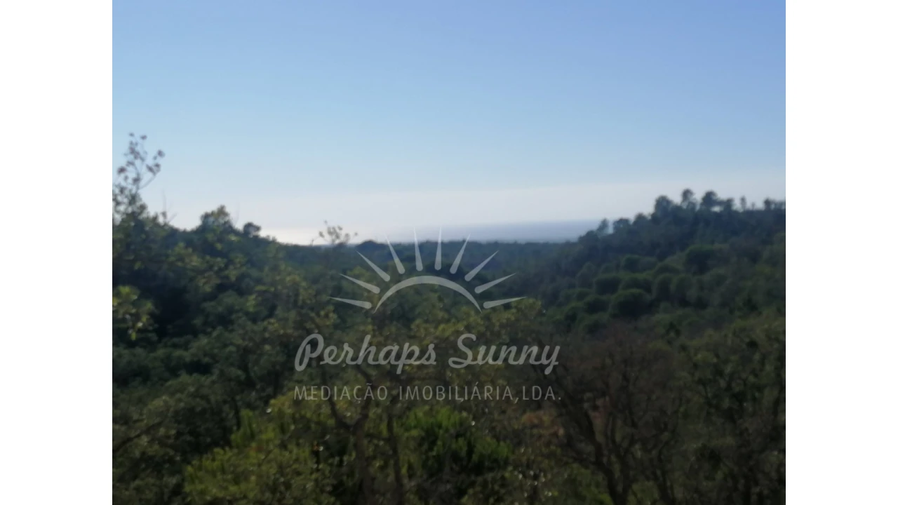 Terreno Agricola ou Rústico para Venda em Melides Foto 23