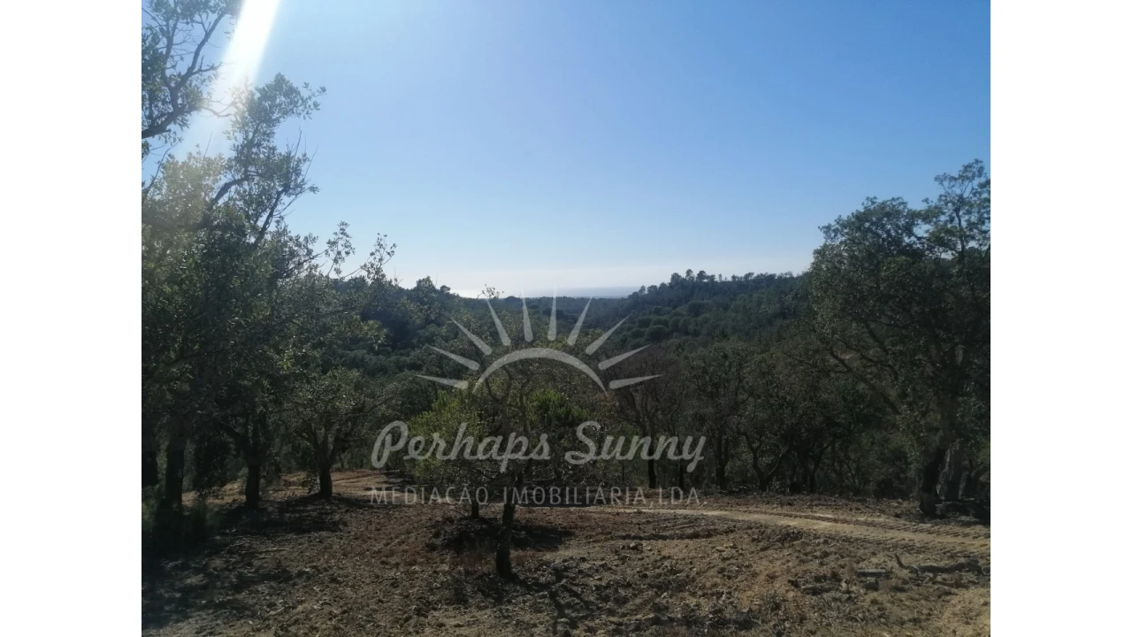 Terreno Agricola ou Rústico para Venda em Melides Foto 24