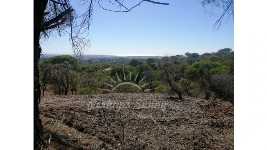 Terreno Agricola ou Rústico para Venda em Melides Foto 2