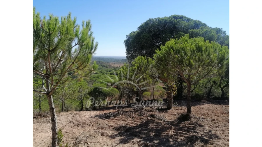 Terreno Agricola ou Rústico para Venda em Melides Foto 11