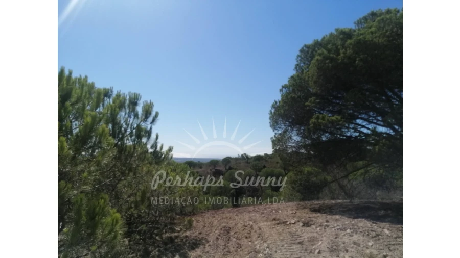 Terreno Agricola ou Rústico para Venda em Melides Foto 14