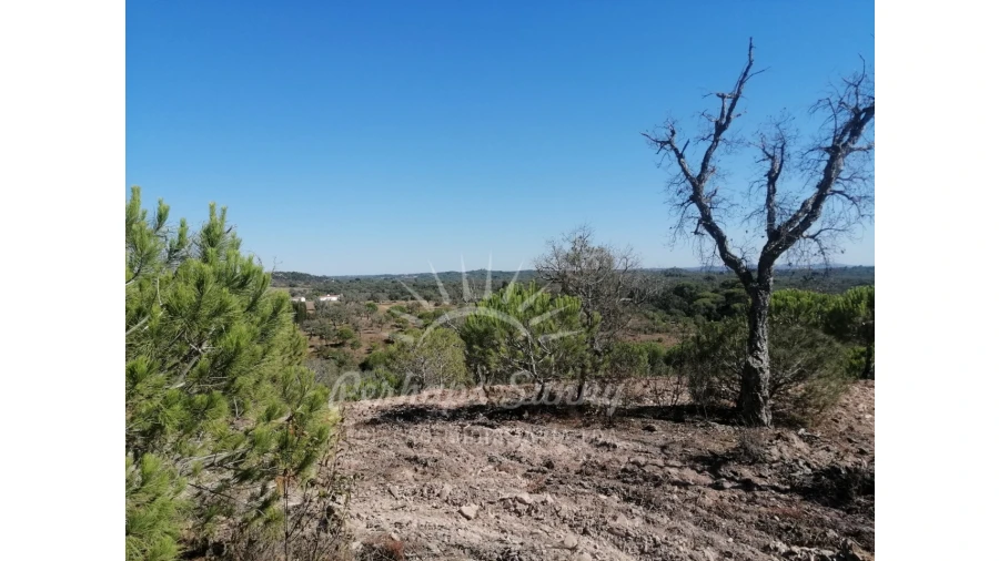 Terreno Agricola ou Rústico para Venda em Melides Foto 15