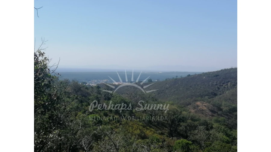 Terreno Agricola ou Rústico para Venda em Melides Foto 9