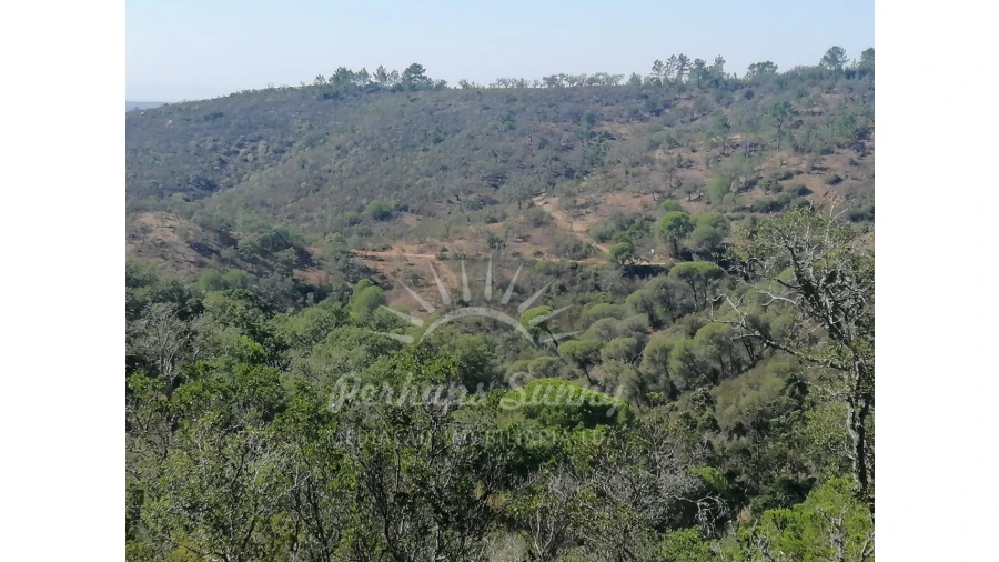 Terreno Agricola ou Rústico para Venda em Melides Foto 10