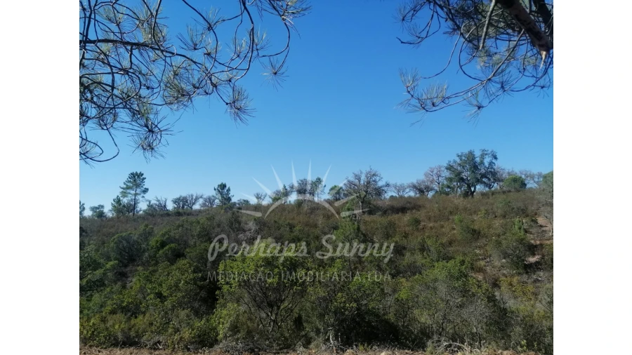 Terreno Agricola ou Rústico para Venda em Melides Foto 21