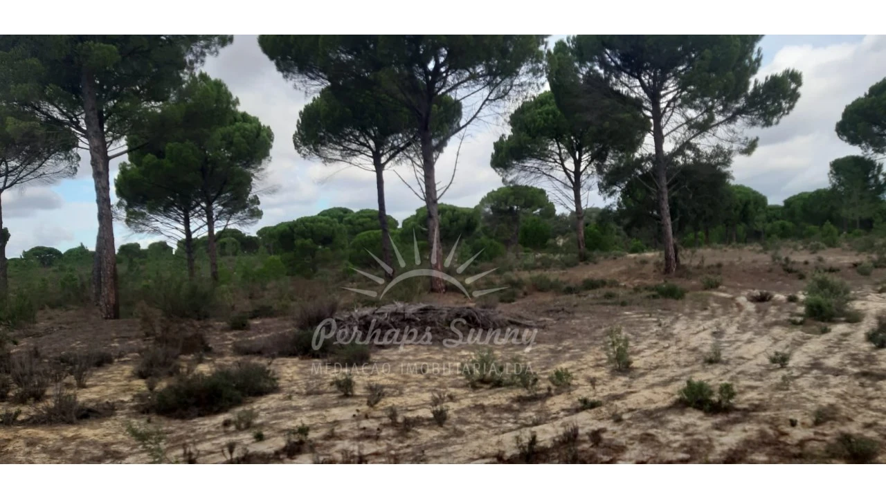 Terreno Agricola ou Rústico para Venda em Grândola e Santa Margarida da Serra Foto 3