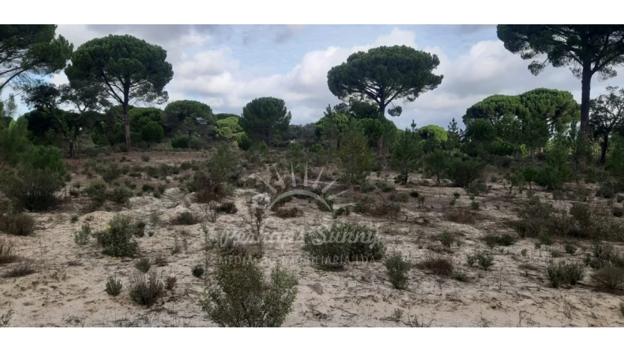 Terreno Agricola ou Rústico para Venda em Grândola e Santa Margarida da Serra Foto 4
