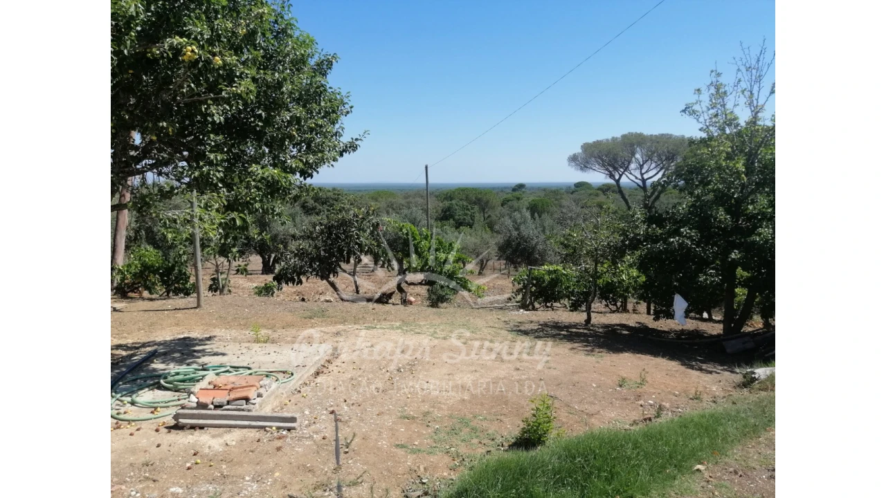 Quinta T3 para Venda em Grândola e Santa Margarida da Serra Foto 10
