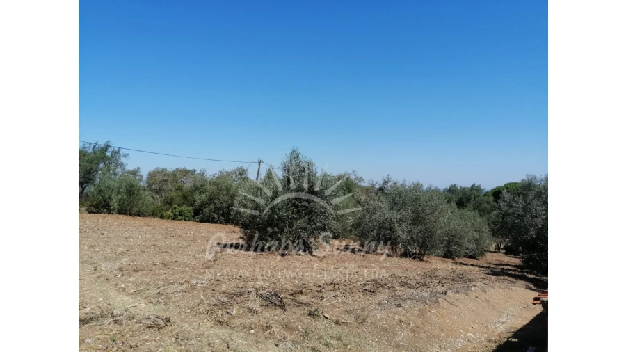 Quinta T3 para Venda em Grândola e Santa Margarida da Serra Foto 9
