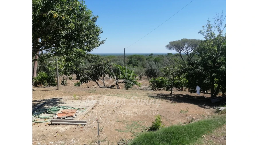 Quinta T3 para Venda em Grândola e Santa Margarida da Serra Foto 10
