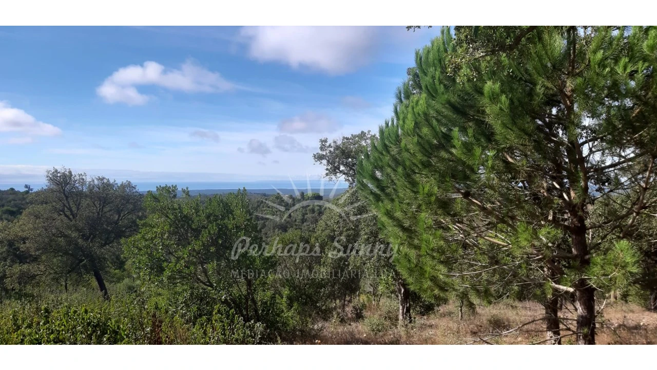 Terreno Agricola ou Rústico para Venda em São Francisco da Serra Foto 4