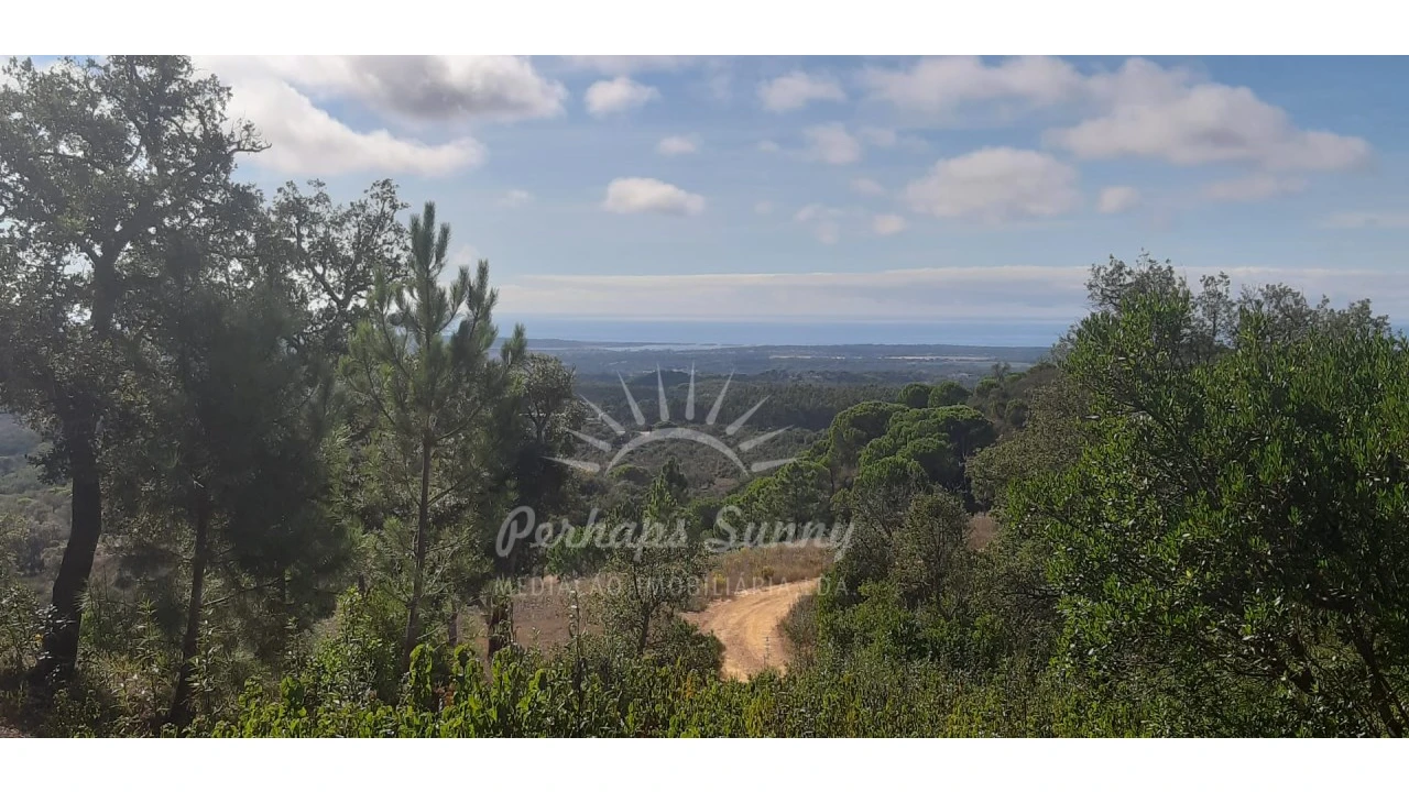 Terreno Agricola ou Rústico para Venda em São Francisco da Serra Foto 5