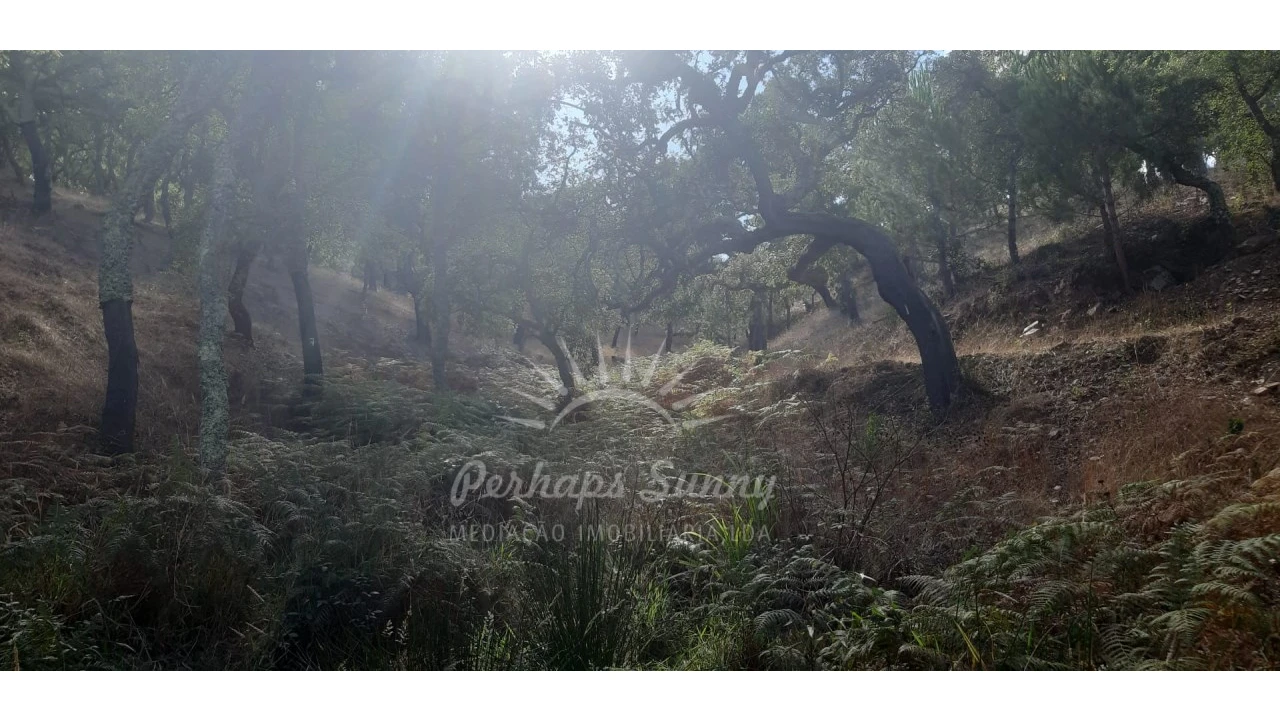 Terreno Agricola ou Rústico para Venda em São Francisco da Serra Foto 6