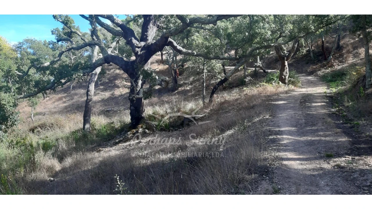 Terreno Agricola ou Rústico para Venda em São Francisco da Serra Foto 8